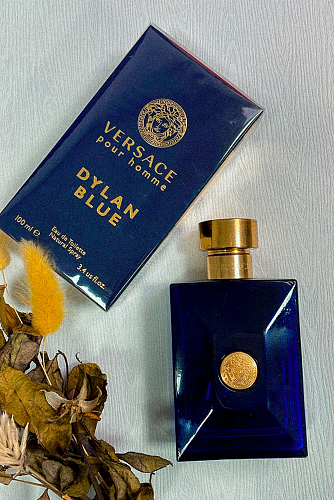Versace Pour Homme Dylan Blue Versace